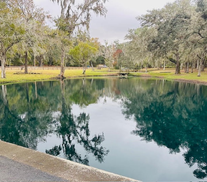 Floating Algae Removal - Tampa Bay Pond Management Project