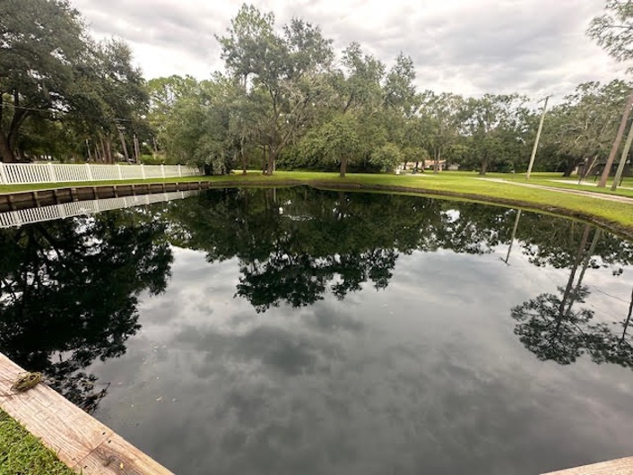 Pond Algae Treatment - Tampa Bay Pond Management Project