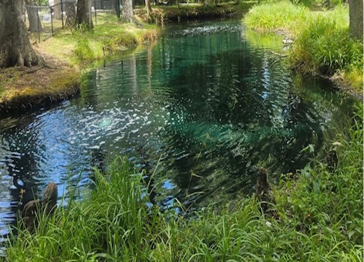 Sediment & Muck Reduction - Tampa Bay Pond Management Project